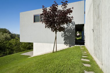 modern ev doğa ile çevrili