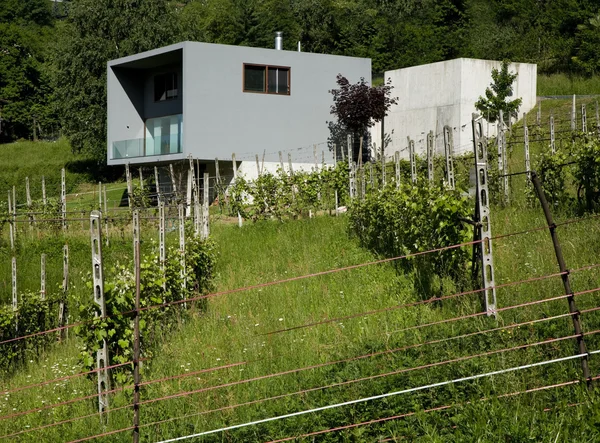 Modernes Haus umgeben von Natur — Stockfoto