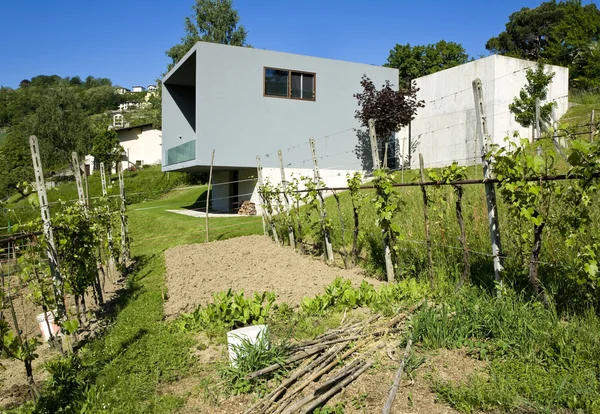 자연에 둘러싸인 현대적인 집 — 스톡 사진