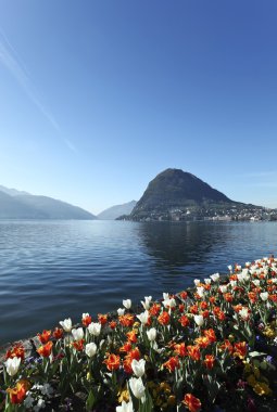 Lake lugano Park