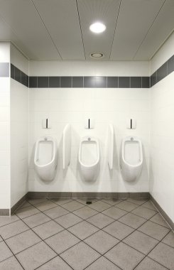 Kongre Sarayı, genel tuvaletler