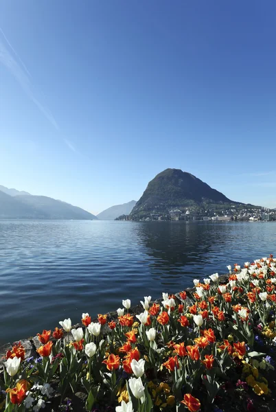 Lago Lugano do parque — Fotografia de Stock