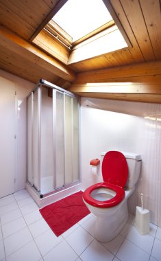 banyo duş ve tuvalet, konforlu çatı