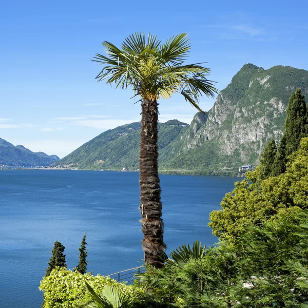 Lago Lugano —  Fotos de Stock