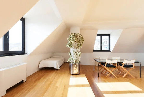 Magnifique loft, parquet — Photo