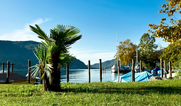 Sommer auf dem See — Stockfoto