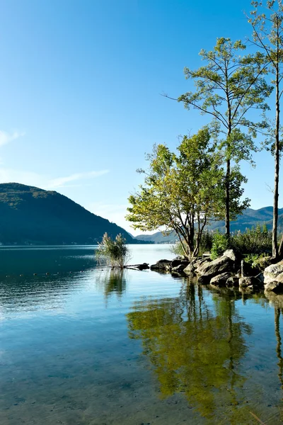 Summer on the lake, landscape — Stock Photo, Image