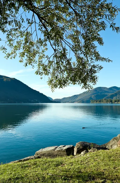 Lake, landscape — Stock Photo, Image