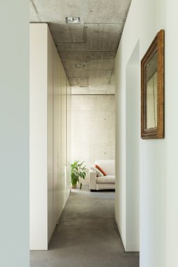 Modern villa