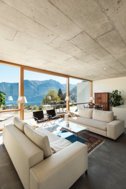 Modern villa