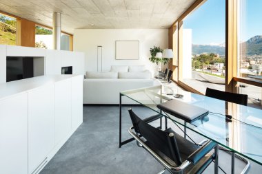 Modern villa