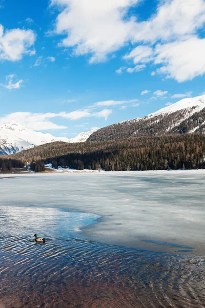 冰冻的湖山景观 — 图库照片