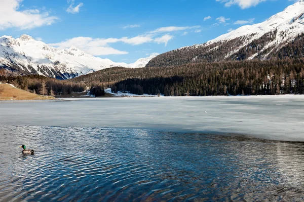 Paesaggio montano, lago ghiacciato — Foto Stock