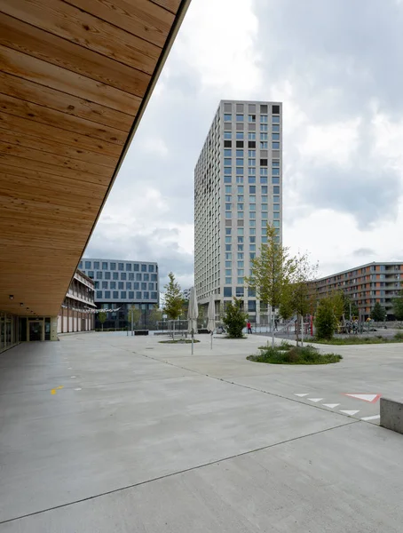 Paisaje Urbano Zurich Con Techo Madera Moderno Rascacielos Distancia Día — Foto de Stock