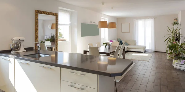 Open Ruimte Uitzicht Modern Appartement Met Keuken Met Eiland Grote — Stockfoto