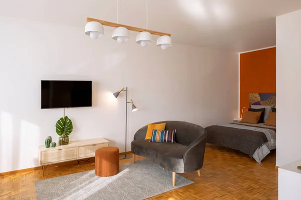 Studio Dengan Furnitur Karpet Bawah Sofa Dan Tempat Tidur Dengan — Stok Foto
