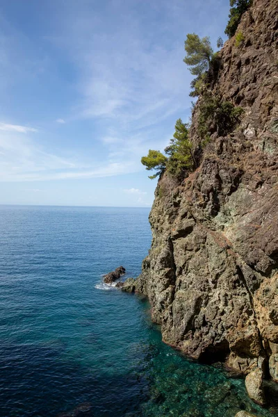Cliff overlooking the calm sea with trees. Blue sky and nobody inside