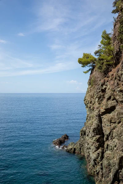 Cliff overlooking the calm sea with trees. Blue sky and nobody inside