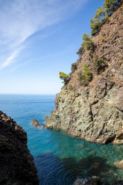 Cliff overlooking the calm sea with trees. Blue sky and nobody inside