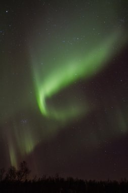 Aurora Borealis