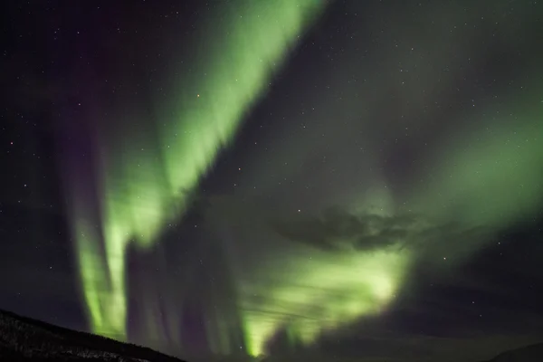Noordse borealis — Stockfoto