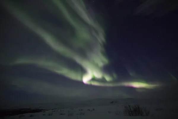 Noordse borealis — Stockfoto