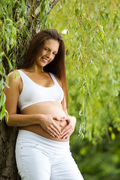 Беременная женщина стоит под деревом — стоковое фото