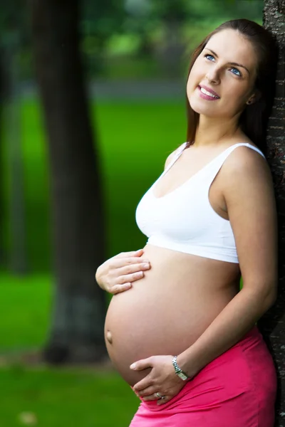 Gravid kvinna lutad mot ett träd Royaltyfria Stockfoton