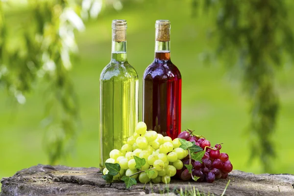 Wine bottles! — Stock Photo, Image