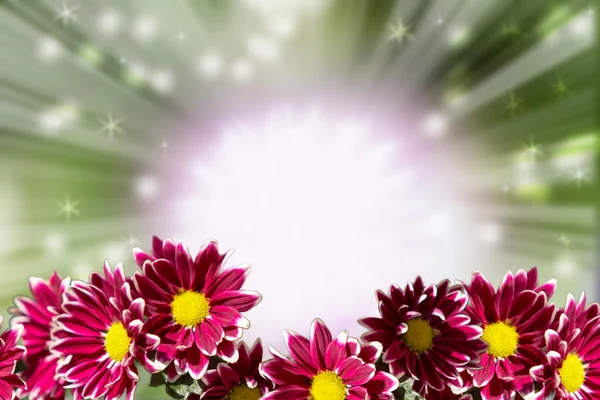 güzel çiçek arka plan ve güneş ışığı etkisi