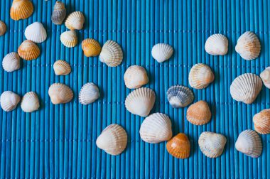 Mavi bambu hasır üzerinde kabukları