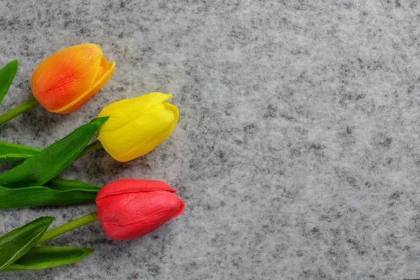 Tulipán Virág Szürke Háttér Színes Tulipán Valentin Napi Háttér Használt Stock Fotó