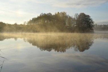 Sonbahar sabahı sisi ve göl