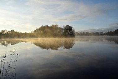 Sonbahar sabahı sisi ve göl
