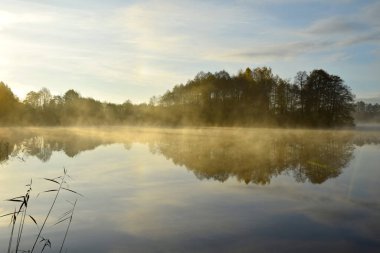 Sonbahar sabahı sisi ve göl