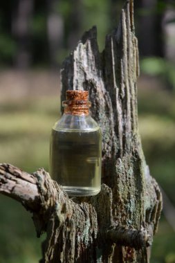 Ormanda sihirli iksir