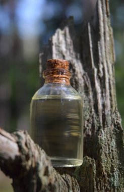 Ormanda sihirli iksir