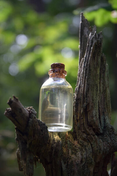 Magical elixir in a forest