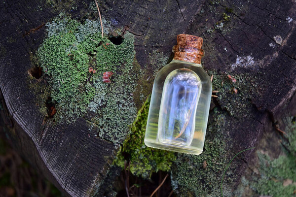 Magical elixir in a forest