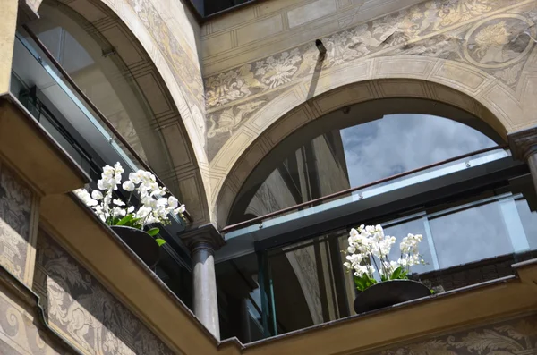 Fenster — Stockfoto