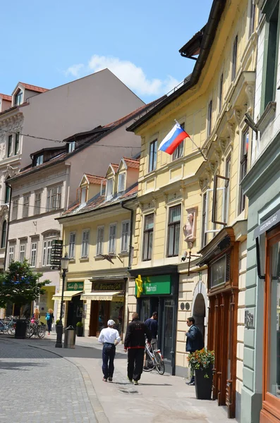 Liublana, Slovenya — Stok fotoğraf