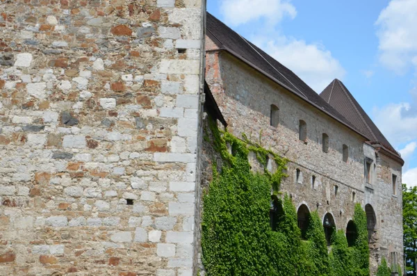 Ljubljana Castle — Stock Photo, Image