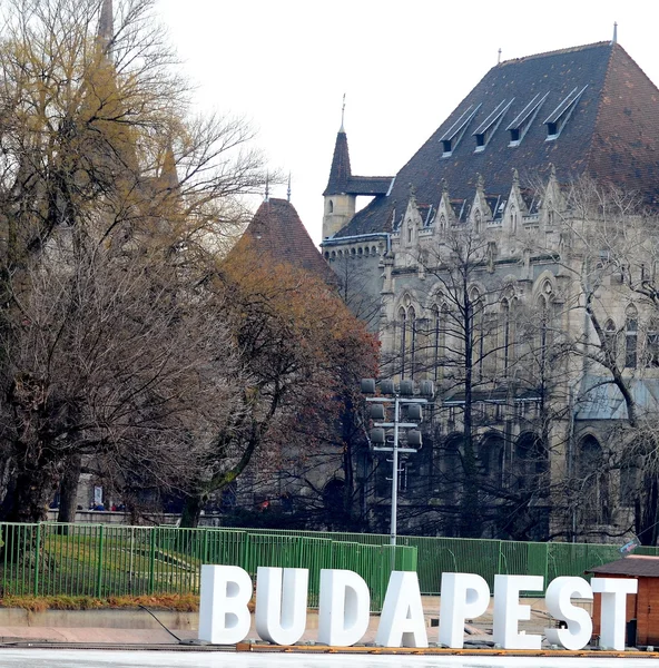 Budapest Skridsskoåkning — Stockfoto