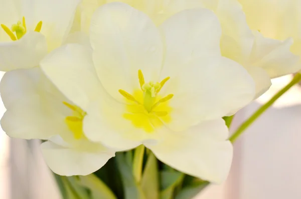 Brautstrauß — Stockfoto