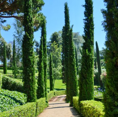 costa brava İspanya içinde park ensemble