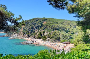 plaj ve deniz manzarası