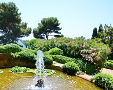 panaromik Bahçe ve park manzaralı