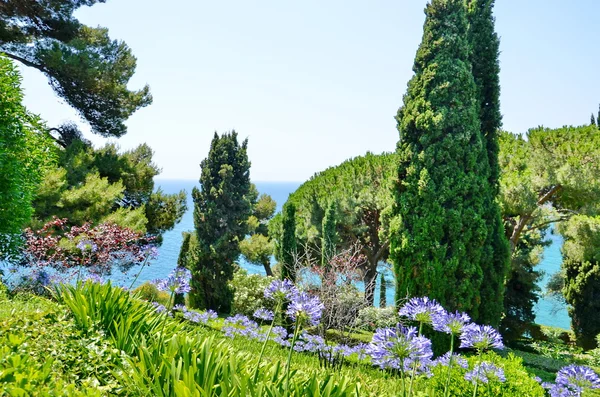 Panoramic garden and park view — Stock Photo, Image