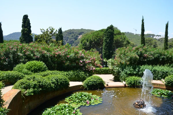 panaromik Bahçe ve park manzaralı