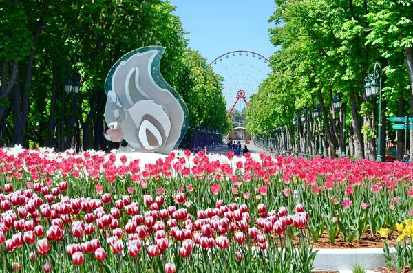 Tulipas no parque. — Fotografia de Stock